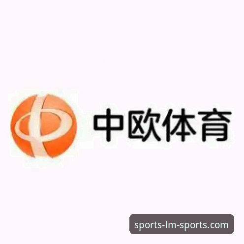 LM体育官方APP功能详解：版本、安装与安全性全面分析