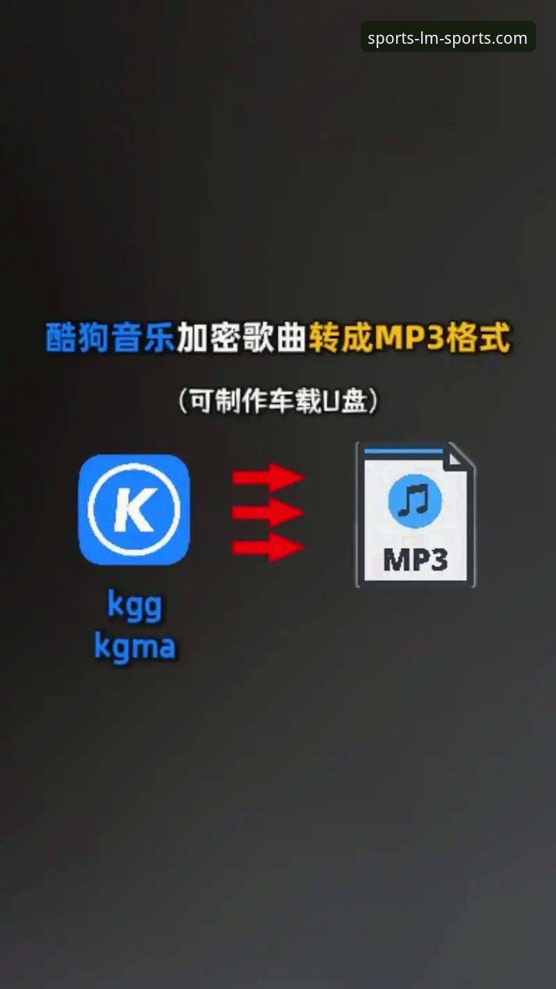 2026LM体育平台使用教程：从下载到精通的操作指南