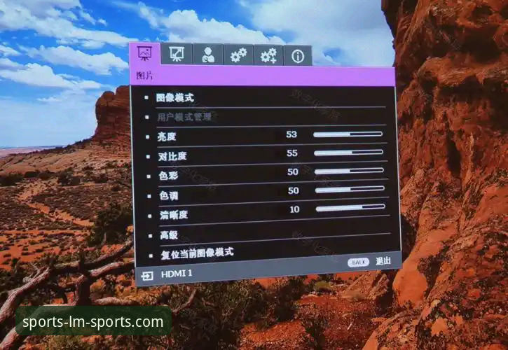 LM体育稳定吗 LM体育平台稳定性实用评测指南——从技术到体验的全面对比分析